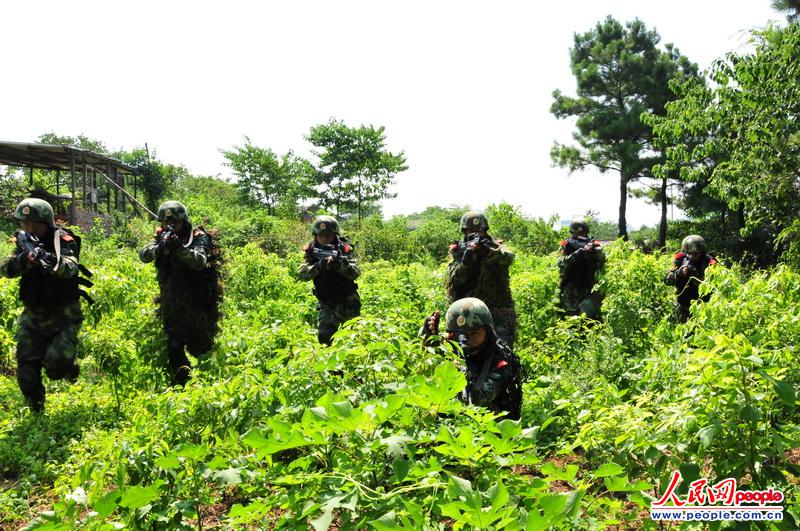 高清:武警特战队员高温天练丛林反恐 在树上刻下标志【8】