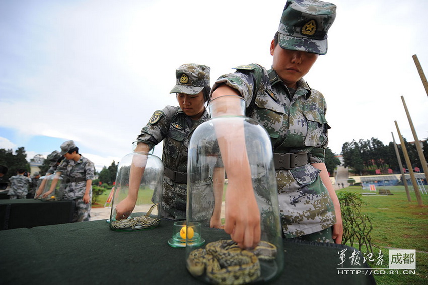 高清:解放军女兵捉蛇进行野战心理训练