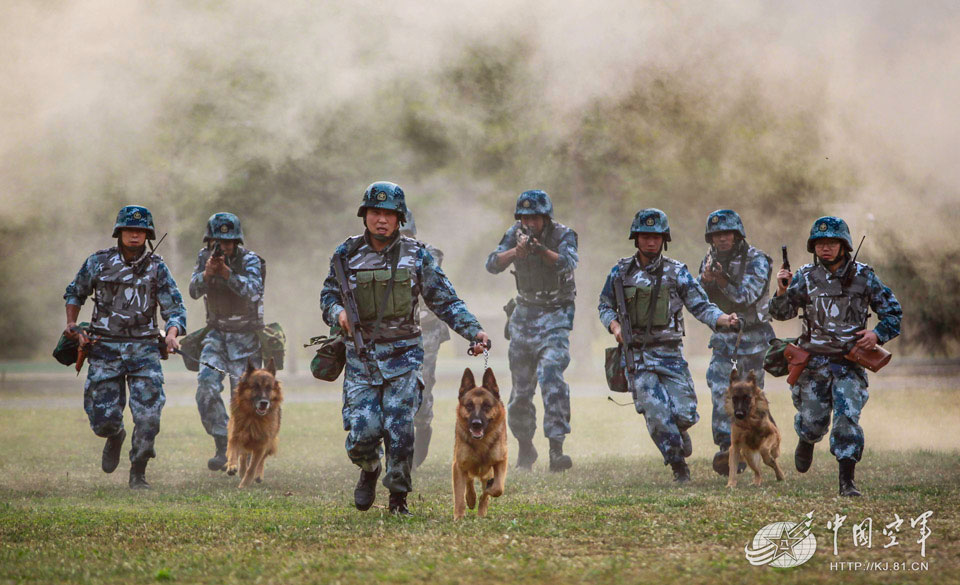 高清:空軍軍犬飛躍穿火圈 巧救被捆綁戰士【7】