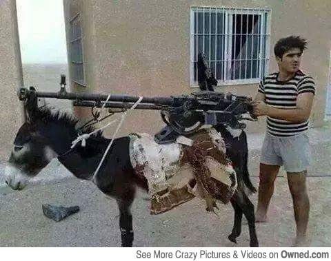 ��ͼ������Ҳ������ѻ�ǹ����¿����