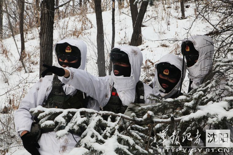 高清:解放軍裝甲旅深入林海雪原 大雪中進行偵察訓練【7】