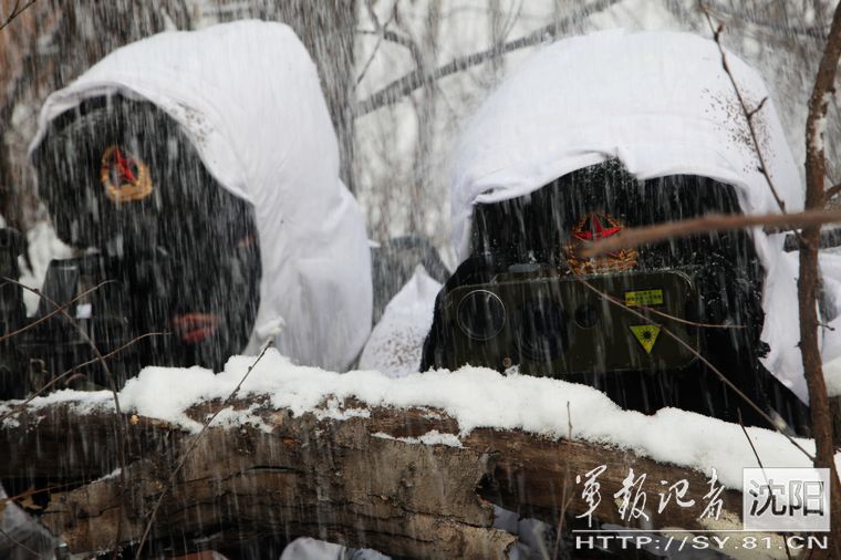 高清:解放軍裝甲旅深入林海雪原 大雪中進行偵察訓練
