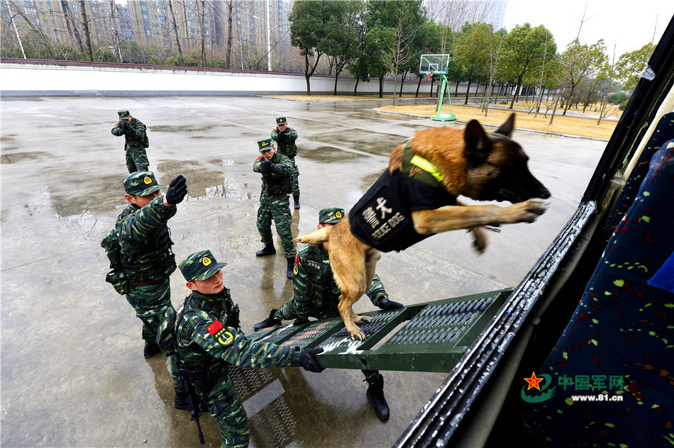 ��Ȯͻ�롣��ͦ ��