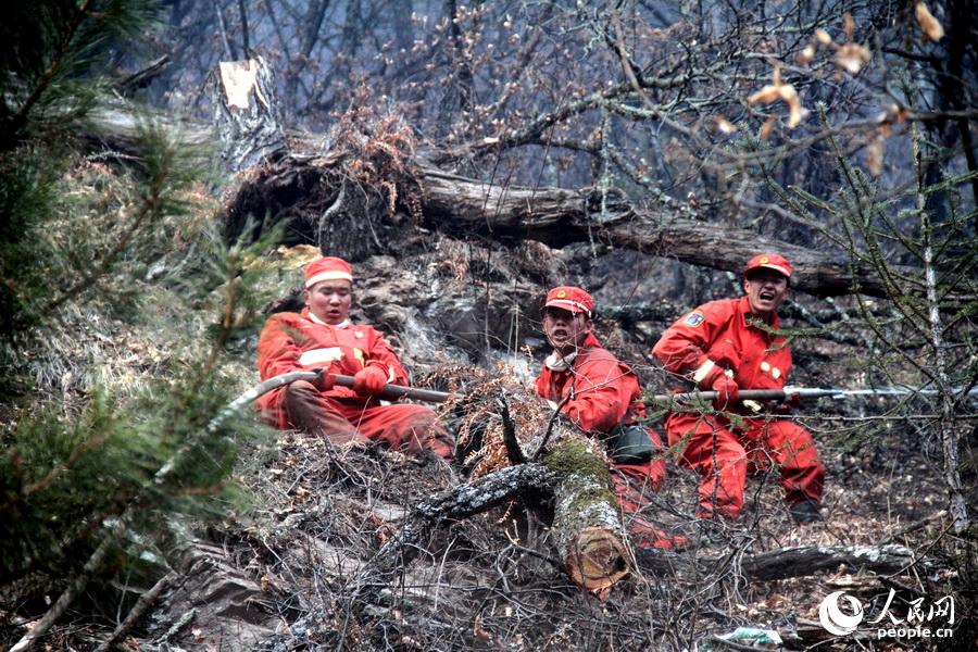 3月3日，武警隴南市森林支隊官兵在迭部縣達拉林場火場滅火 (李靠軍  攝)