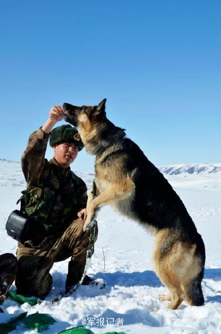 組圖:新疆邊防陽春三月踏雪巡邏 軍犬站起賣萌