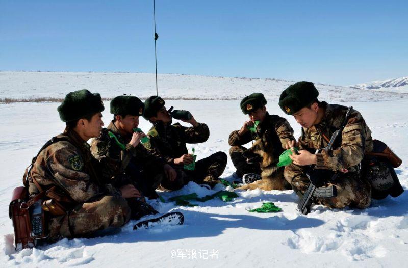 組圖:新疆邊防陽春三月踏雪巡邏 軍犬站起賣萌【4】