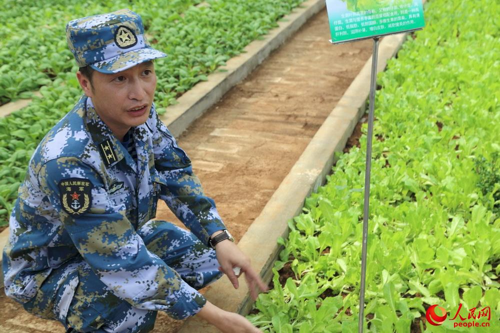 4月12日，永興島上官兵向記者介紹在島上培植的蔬菜。人民網記者 閆嘉琪 攝