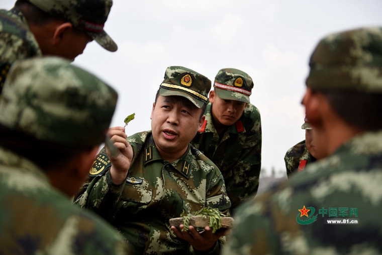 駐守在祖國最北端黑龍江省漠河縣北極村的武警邊防官兵正在學習鑒別可食用野菜及應急藥草。