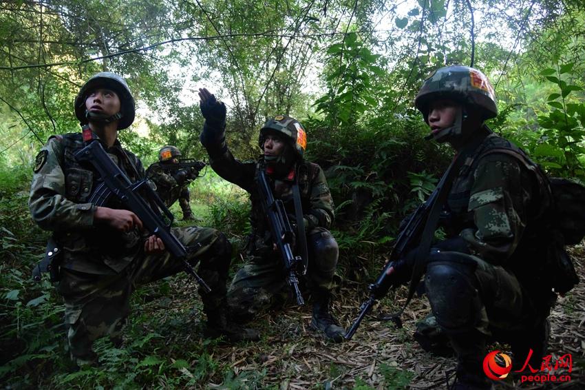 2016年11月26日，武警特戰隊員在開展叢林地捕殲訓練。