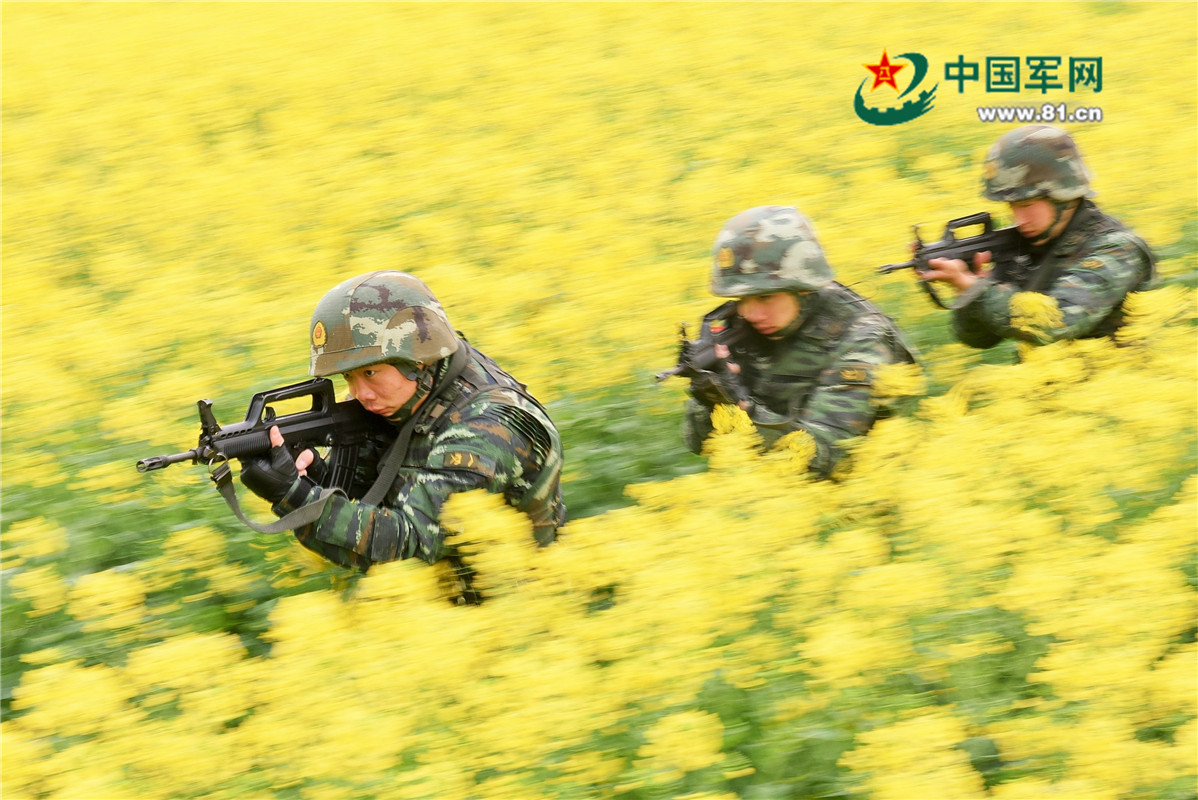 武警 九江市支队特战队员在市郊某地进行带实战背景的突击训练