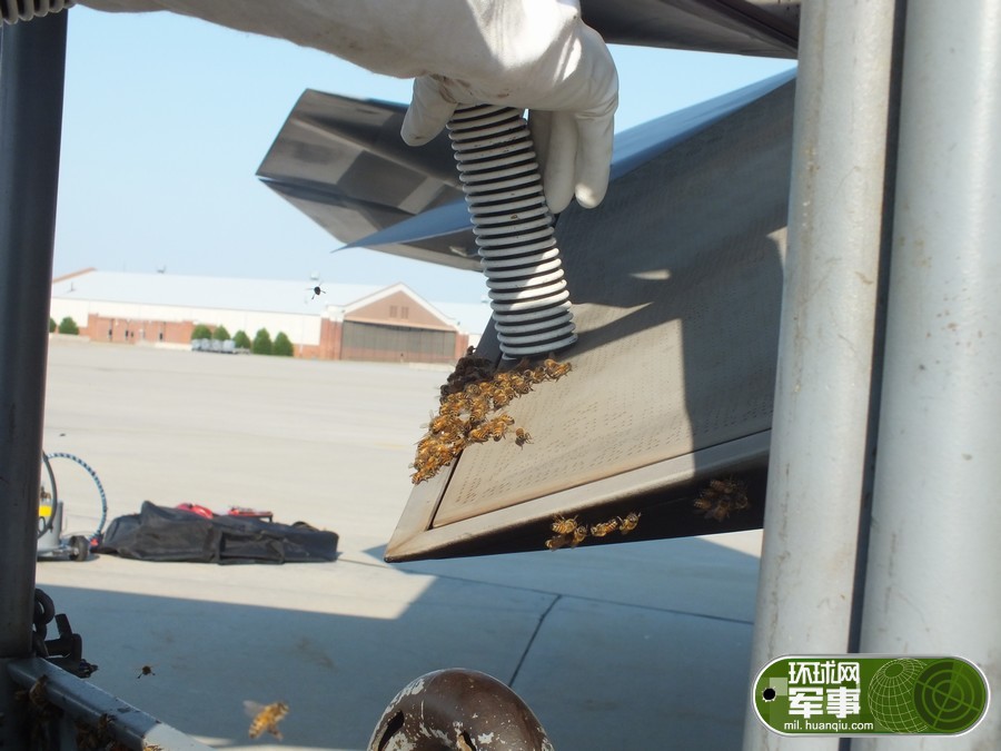 近日，美國空軍蘭利基地第192戰斗機聯隊的維護人員發現一架F-22的尾噴管出現一個大包，走進一看才發現是一群蜜蜂挂在了尾噴管上。美軍請來了當地的養蜂人將蜂巢取下，他用水桶和真空吸管完好地取下了蜂巢和蜜蜂，樂呵呵地帶著3.5公斤重的“戰利品”回家。