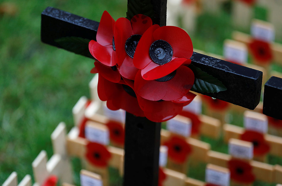 11月11日 在英國倫敦拍攝的罌粟花十字架。