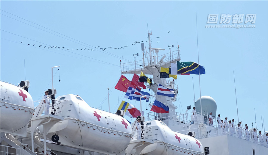 中國海軍和平方舟醫院船即將離開達累斯薩拉姆港時，天空飛來一群海鳥，似是來送行。江山 攝
