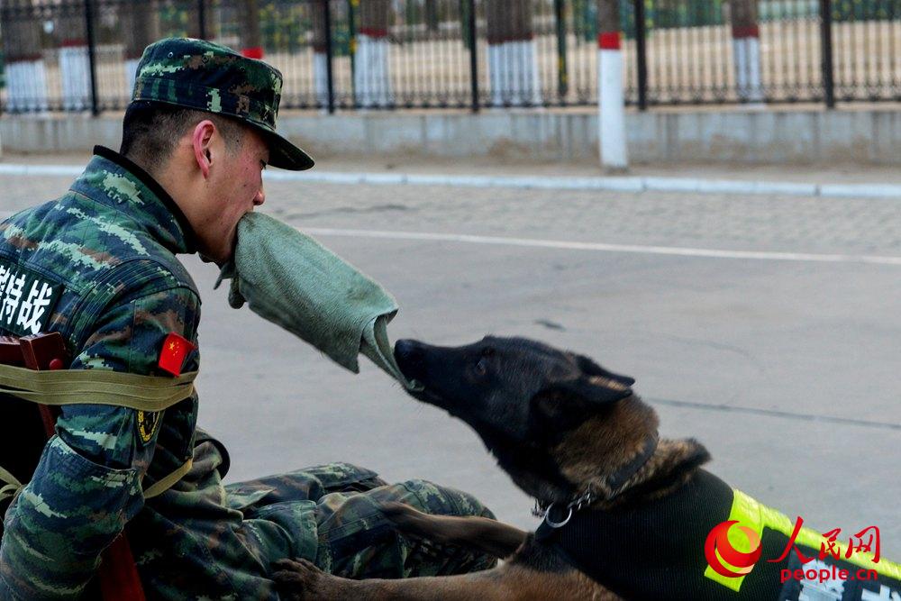 警犬進行解救“人質”訓練。（袁浩翔攝）