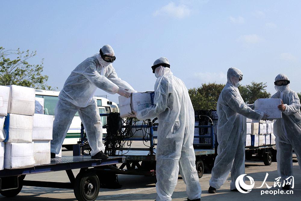 武警官兵在三亞鳳凰機場搬運防疫物資。