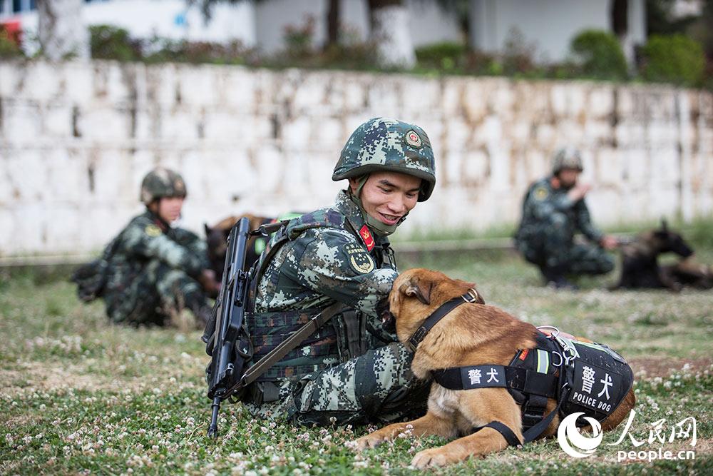 訓導員在訓練后為警犬按摩。