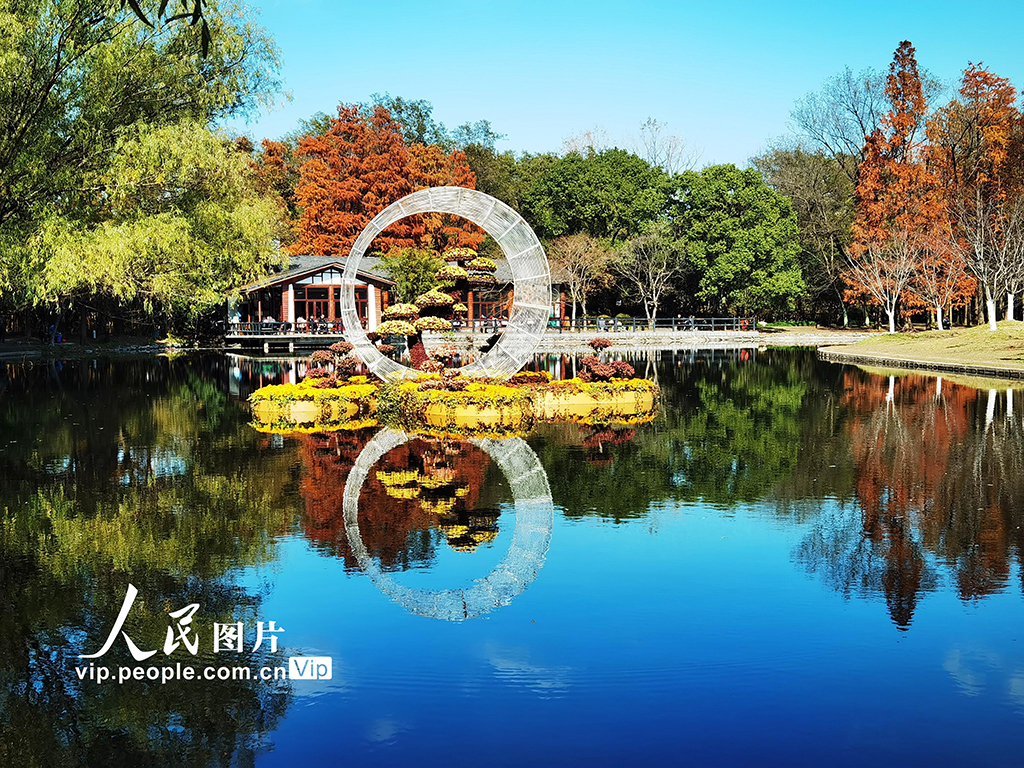 上海：共青森林公園“楓”景如畫