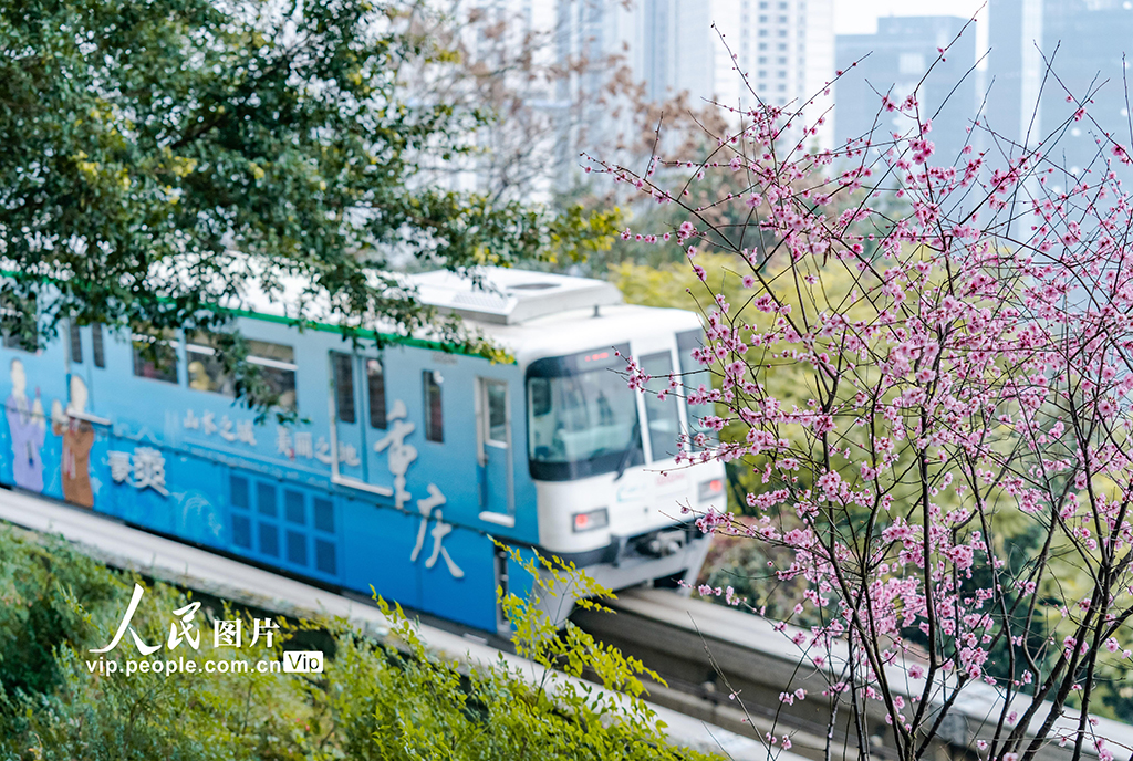 重慶：開往春天的列車