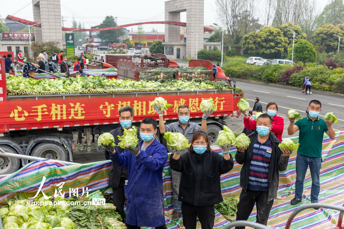 四川都江堰：120余噸蔬菜連夜運往上海