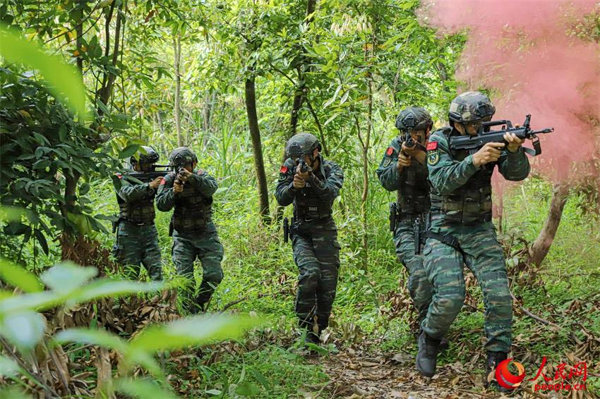 武警特戰隊員開展山林地搜索訓練。