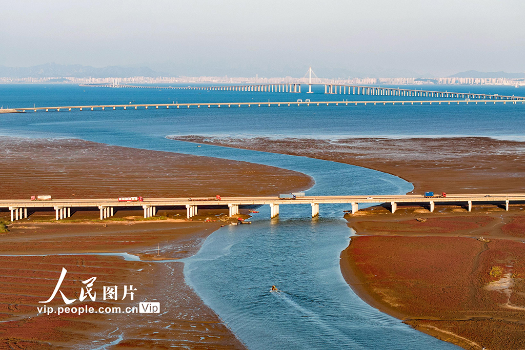 山東青島：紅海灘如夢似幻