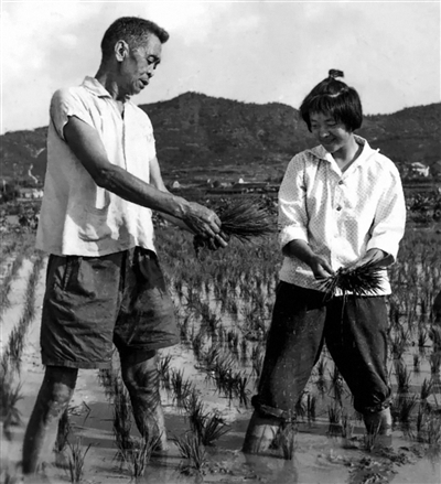 甘祖昌（左）和甘公榮在田間勞動。作者提供