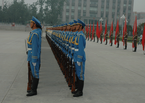 (组图:威武雄壮的我国仪仗队