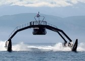 美國海軍波浪適應模塊船