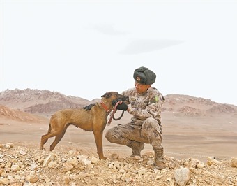 天文点边防连中士郑文泽训练军犬。